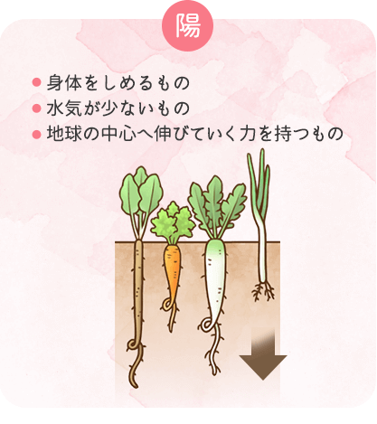 陽性の食材の特徴